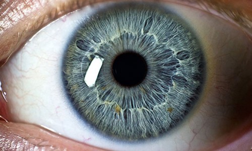 Körlük biyonik gözlükle tarih oluyor